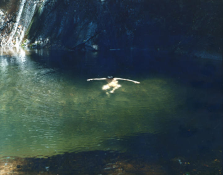 鈴木理策写真展 意識の流れ｜企画展｜MIMOCA 丸亀市猪熊弦一郎
